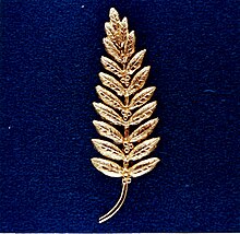 Golden olive branch left on the Moon by Neil Armstrong (Apollo 11) as a symbol of peace. Gold Olive Branch Left on the Moon by Neil Armstrong - GPN-2002-000070.jpg