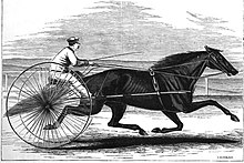 Goldsmith Maid, perennial fan favorite trotter Goldsmith Maid.jpeg