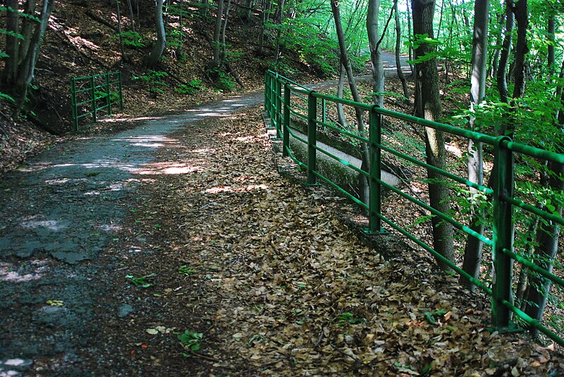 File:GuentherZ 2013-06-08 0374 Wien19 Hoehenstrasse Durchlass unter Wanderweg neben Objekt1937.JPG