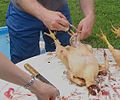 Gutting chickens-01.jpg