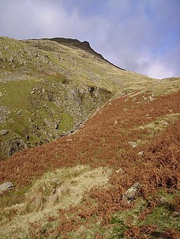 Hause Riggs - geograph.org.uk - 781621