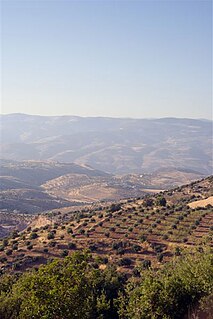 Gilead Northern part of the region of Transjordan, also the name of several biblical figures