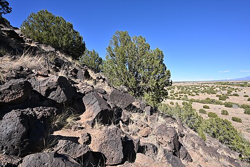 Hillside at La Cieneguilla Petroglyph site