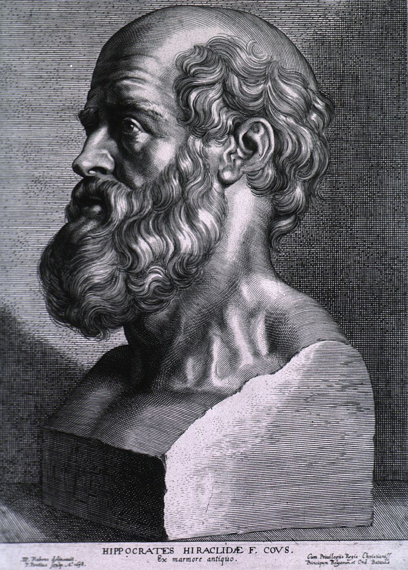 Hippocrates rubens.jpg