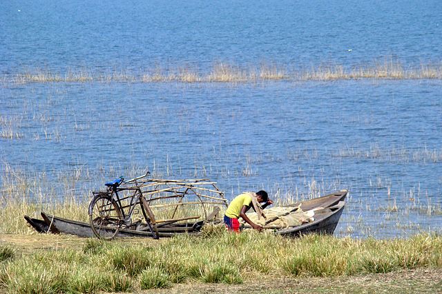 Fisherman at Hirakud Dam