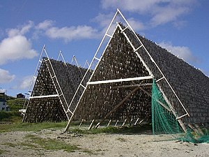 Stockfish: Unsalted fish preserved by drying in cold air and wind