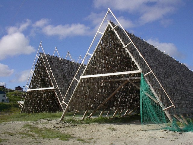 A fish flake, such as this one in Norway, is a rack used for drying cod