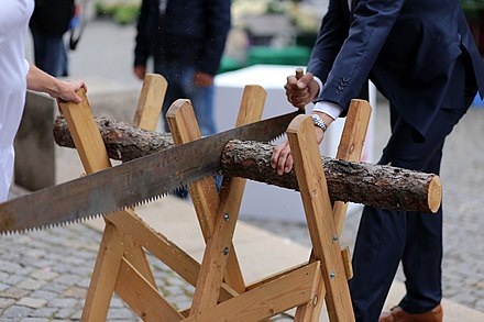 Пилящий бревно. Распил бревна ручной пилой. Козлы для бревен. Пилить дрова. Пила для распилки дров.