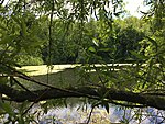 Hofsteder Weiher