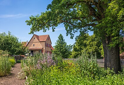 Jardim central da casa de campo do Museu ao ar livre Hohenlohe em Schwäbisch Hall, Alemanha. O Museu ao ar livre de Hohenloher, no vilarejo de Wackershofen, é um dos sete museus regionais ao ar livre em Baden-Württemberg. Foi inaugurado em 1983 e apresenta edifícios antigos do nordeste de Baden-Württemberg. A história da população rural e seu modo de vida, desde o final da Idade Média até o século XX, está documentada em Wackershofen em mais de 60 edifícios total ou parcialmente reconstruídos. (definição 9 257 × 6 303)