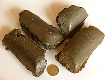 Photo de briquettes avec pièce de monnaie
