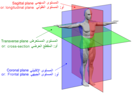 توضيح المستويات الثلاثة