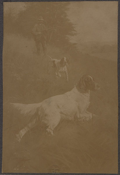 File:Hunter and dogs (HS85-10-15292).jpg