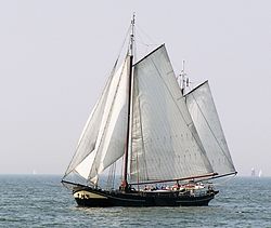 Traditionelles holländisches Boot im IJsselmeer