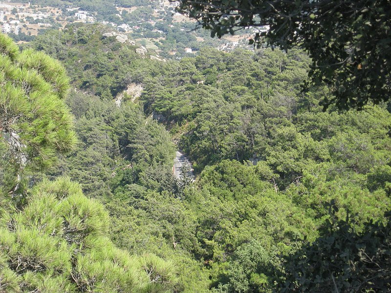 File:Ialisos, Greece - panoramio (70).jpg