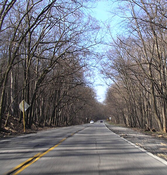 Scenic section of IL 171 in the Palos Forest Preserve