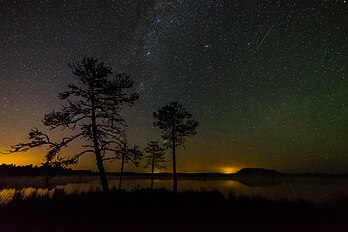 Imagem noturna do céu visto do pântano de Luhasoo, na Estônia, mostrando a Via Láctea, a galáxia de Andrômeda e um dos meteoros das Perseidas. A poluição luminosa é visível ao longo do horizonte. (definição 6 016 × 4 016)