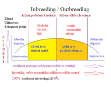 inbreeding - outbreeding