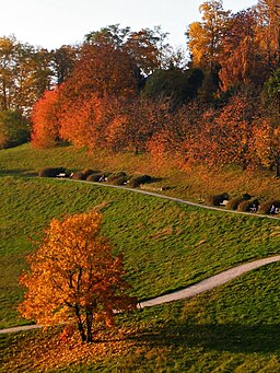 Indian Summer am Hungerberg - panoramio