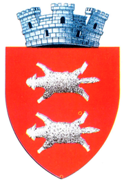 Interbelic Buhusi CoA.png