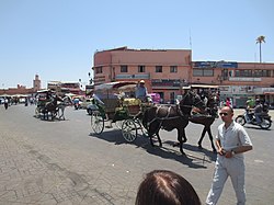 כיכרות עם סוסים ברחבי הכיכר
