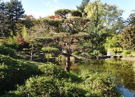 Japanese garden on the Île de Versailles in Nantes, France