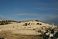 Mont des oliviers à Jerusalem