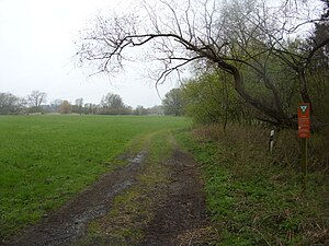 "Juliusplate" nature reserve