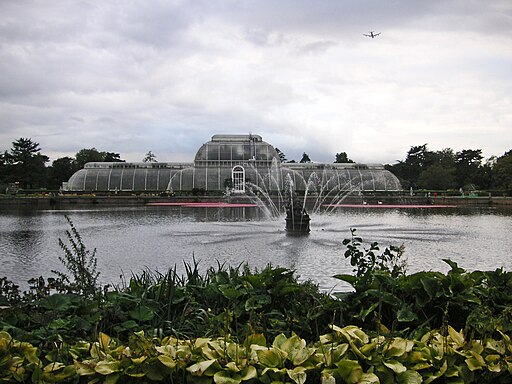 Palm House in den Königlichen Botanischen Gärten von Kew (Kew Gardens)