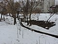 Kitliarchyn Stream in winter 2019 (02).jpg
