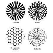 Klüver's Form Constants.jpg