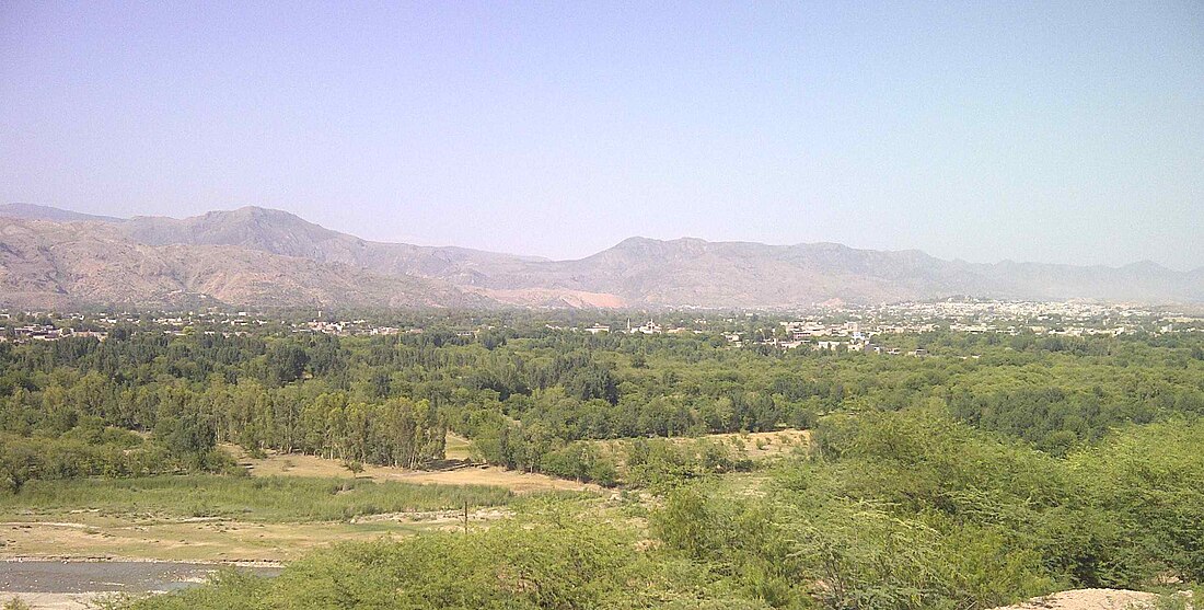 Kohat