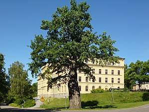 Kungseken, Djurgården
