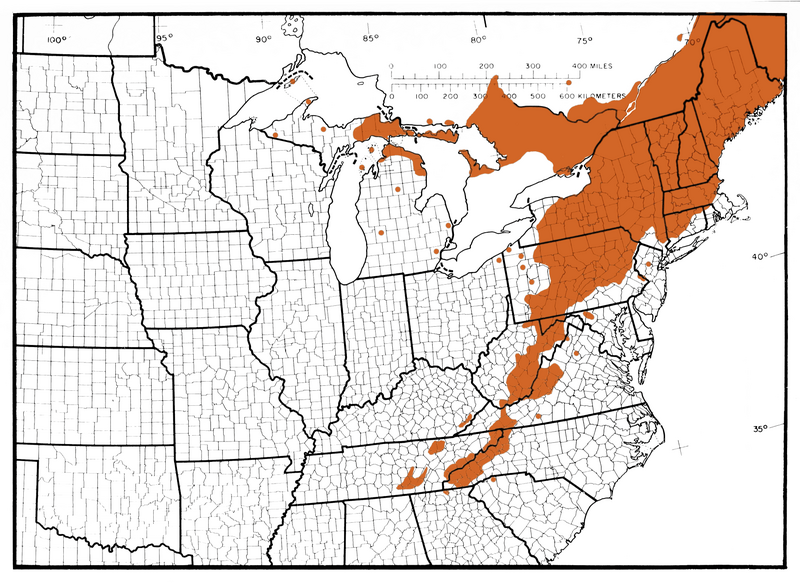 File:L77 Map 3-NE Acer pensylvanicum.png