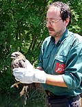 Vignette pour Ligue italienne de protection des oiseaux