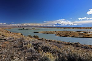 Lago Viedma - panoramio.jpg