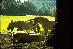 Lake Chelan National Recreation Area LACH8156.jpg