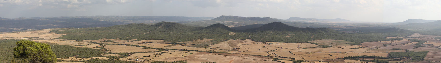 Valencian osavaltio banner.jpg