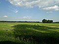 Geestlandschaft zwischen Ahrensmoor-Nord und -West