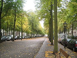 Lange voorhout.jpg