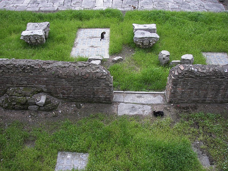 File:Largo di Torre Argentina cats.jpg