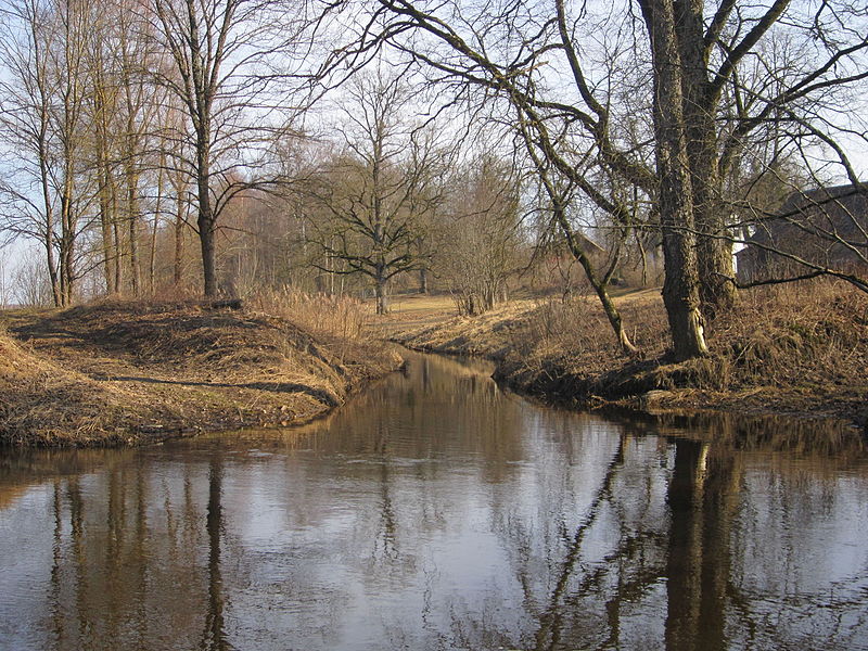 File:Levenstrauta ieteka Mazajā Juglā.JPG