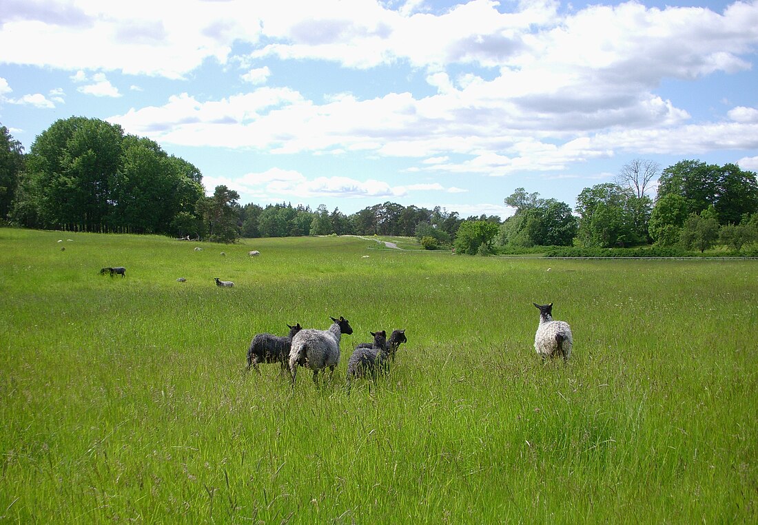 Lidingö