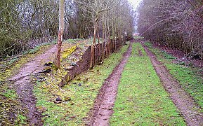 The overgrown remains of Lilbourne station in Northamptonshire, on the former LNWR line from Rugby to Market Harborough which closed in 1966
