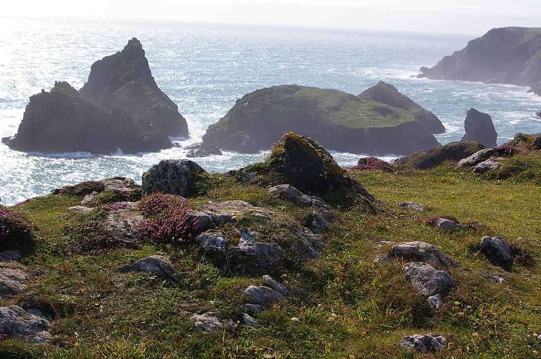 Slag bij Lizard Point