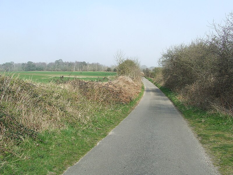 File:Lodge Road - geograph.org.uk - 4490082.jpg