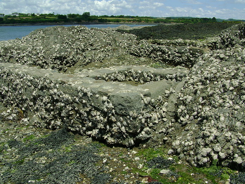 File:Logonna-Daoulas, anciens bassins à dégorger.JPG