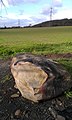 Lone sarsen near Little Kit's Coty House.