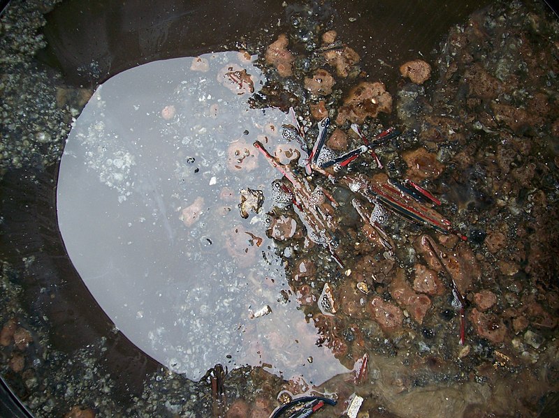 File:Looking inside the urine storage tank at Bornjorn, near Stockholm, Sweden (3018504423).jpg