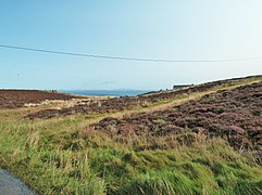 Looking over heather covered grassland towards Luce Bay - geograph.org.uk - 2724889.jpg